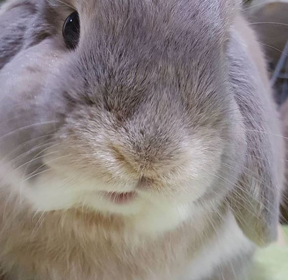 もぐ